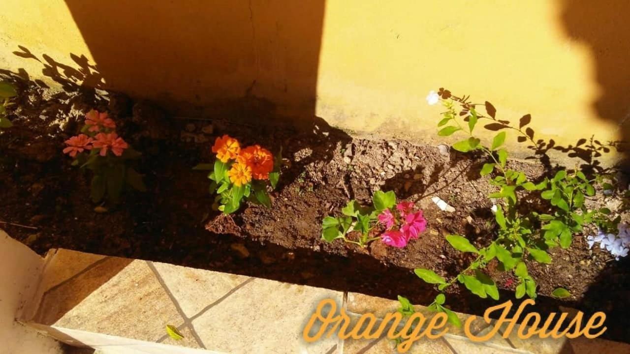 Orange House * Araruama