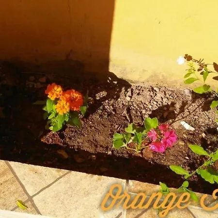 Orange House Villa Araruama Exterior photo